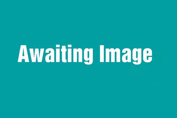 Awaiting Image