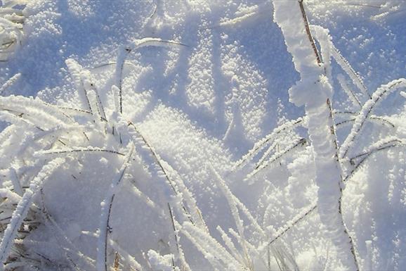 Hebridean Connections