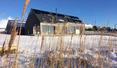 Lewis Longhouse in the snow