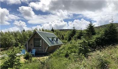 Puffin and Peregrine Tiny-House's