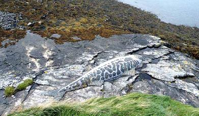 Uist Sculpture Trail