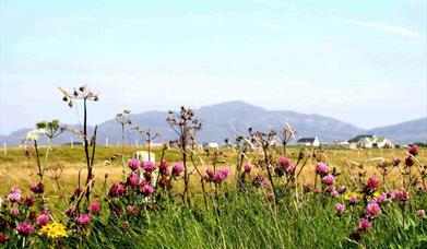 Beach and Machair at Kilpheder