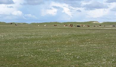 Bornish Beach and Machair