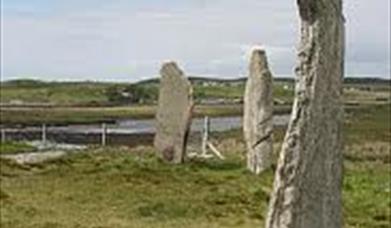 Cnoc Ceann a' Ghàrraidh (Calanais II) by Anne Burgess