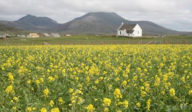 Howmore Machair