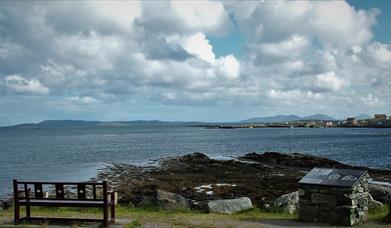 Seal Viewing Point