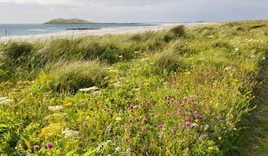 Garrynamonie Machair & Beach