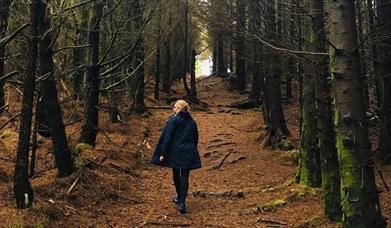 Langass Woodland