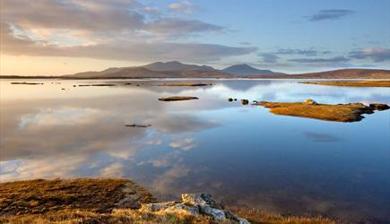 Loch Bee