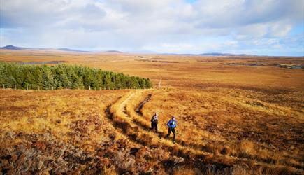 North Uist: Langass Woods runners
