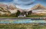 Deb Wilkinson Artist - Landscape painting