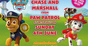 Paw patrol TM