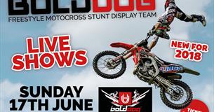 'Bolddog' Freestyle Motocross Stunt Display Team at Thornton Hall Farm