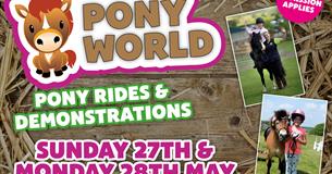 Pony World at Thornton Hall Farm