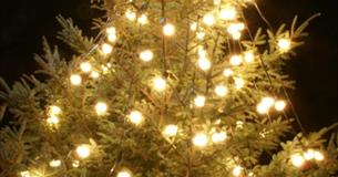The ACE Centre’s Fantastic Festive Fair