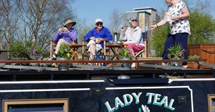 Lady Teal