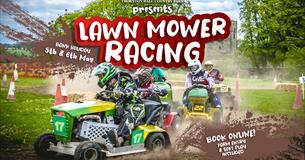Lawn Mower Racing