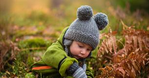 Little Saplings Taster