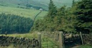 Ogden Reservoir Walk