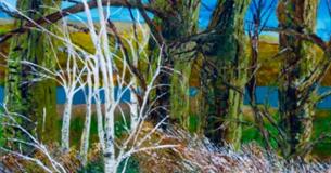 "SECRET PLACES" an exhibition of paintings by Rob Edmondson  at Arteology