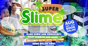 Super Slime at Thornton Hall Country Park