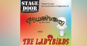 Stage Door Theatre Company presents "Flushed" and "Ladybirds"