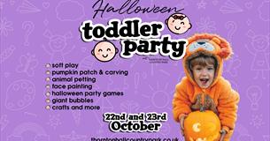 Toddler Halloween Party at Thornton Hall Country Park