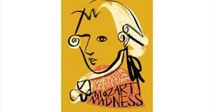Manchester Camerata & Pendle Young Musicians Bursary 2017-2018 Season 'Mozart Madness'