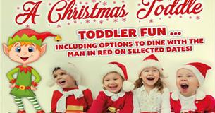 A Christmas Toddle at Thornton Hall Farm