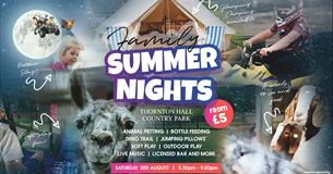 Family Summer Night
