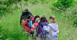 Free Family Nature Events - Minibeast Madness