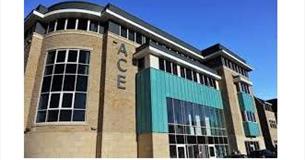 Exhibition by Harry Robinson  at the Ace Centre