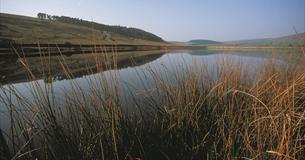 Black Moss Reservoir Walk