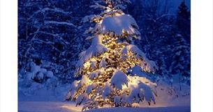 Colne Christmas Light Switch on and Craft Market