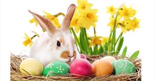 Easter at Colne Market