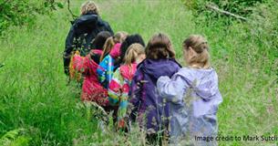 Den Building