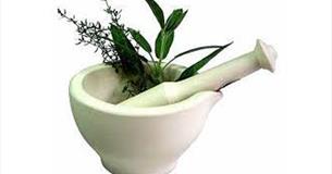 Using Herbs at Home - Rainhall Centre