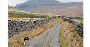 Ingleborough - A talk by David Johnson -  Rainhall Centre