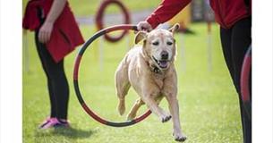 Easter Fun & K9 2000 Canine Display Team