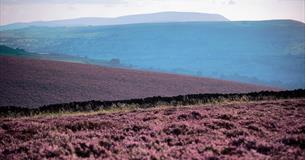 Kelbrook Circular Walk