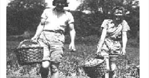 Lights Out Land Girls