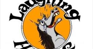 Stand Up Comedy : The Laughing Horse - Ace Centre