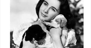 June Cream Tea Cinema - National Velvet (U) – Ace Centre