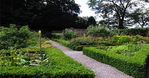 Open Garden