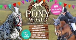 Pony World