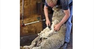 Wycoller Countryside Day