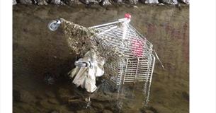 River Clean Up - Victoria Park, Nelson