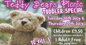 Teddy Bear's Picnic