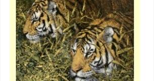 Pendle Artists 47th Annual Exhibition at the Ace Centre