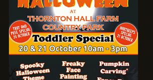 Halloween Toddler Special